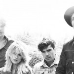 The Common Linnets