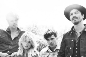 The Common Linnets
