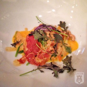 De Buren (Amusetour Alkmaar 2016)