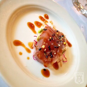 Stokpaardje (Amusetour Alkmaar 2016)