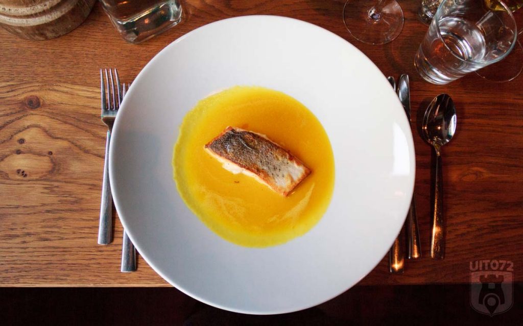 Seasons Alkmaar: zalm