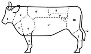 Onderdelen van koe (rund)