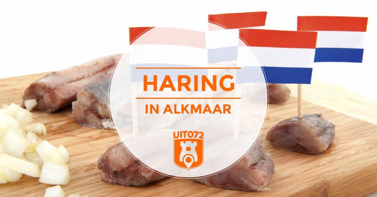 Haring in Alkmaar