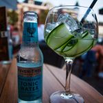 Noukka_Signe_UIT072-Mojos_High-Gin-13