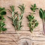 Italiaanse avond Granada