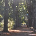 Park de Hout achter Koekenbier