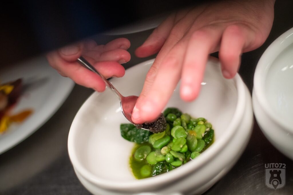 liberte-schoorl-doperwt-tuinboon-zuring_keith-montgomery