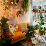 Bloosom Alkmaar binnen