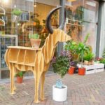 Bloosom Alkmaar buiten