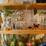 Bloosom Alkmaar insecten