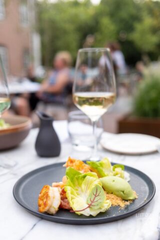 Wilde Argentijnse gamba