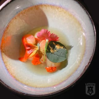 Appel | kombucha | oost-Indische kers | macadamia