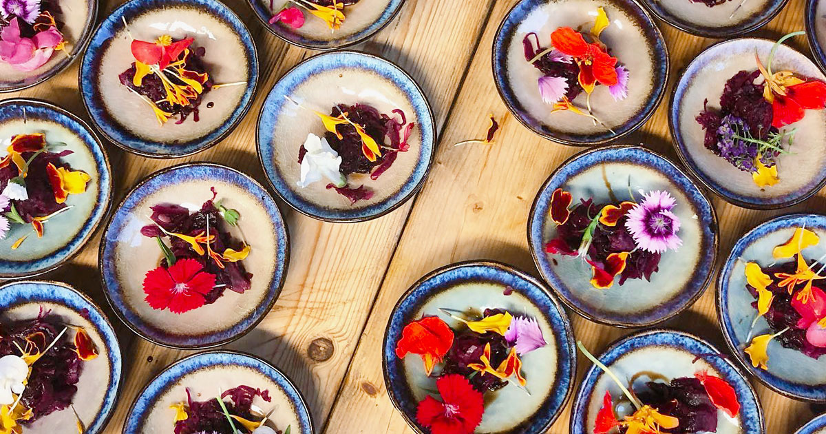 Kombucha, appel macadamia