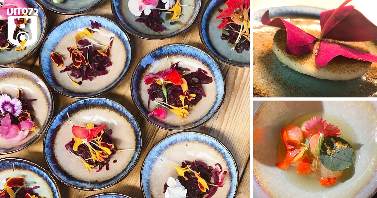 Noorderlicht - End of Season