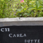 Moestuinbak Gasfabriek naam groenten