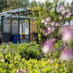 Een plaatje: moestuinieren in de lente
