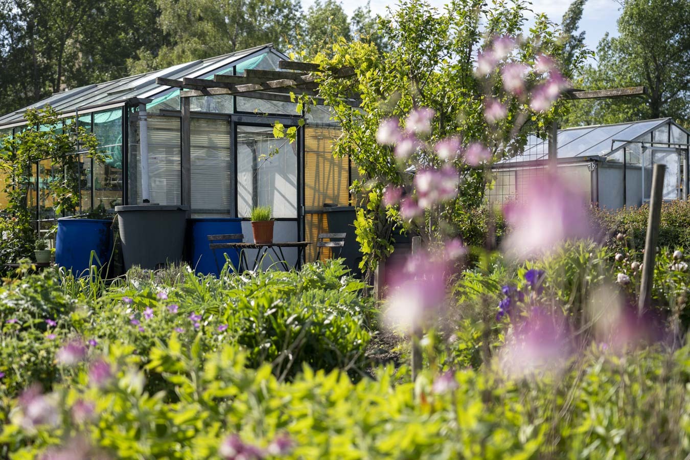 Een plaatje: moestuinieren in de lente