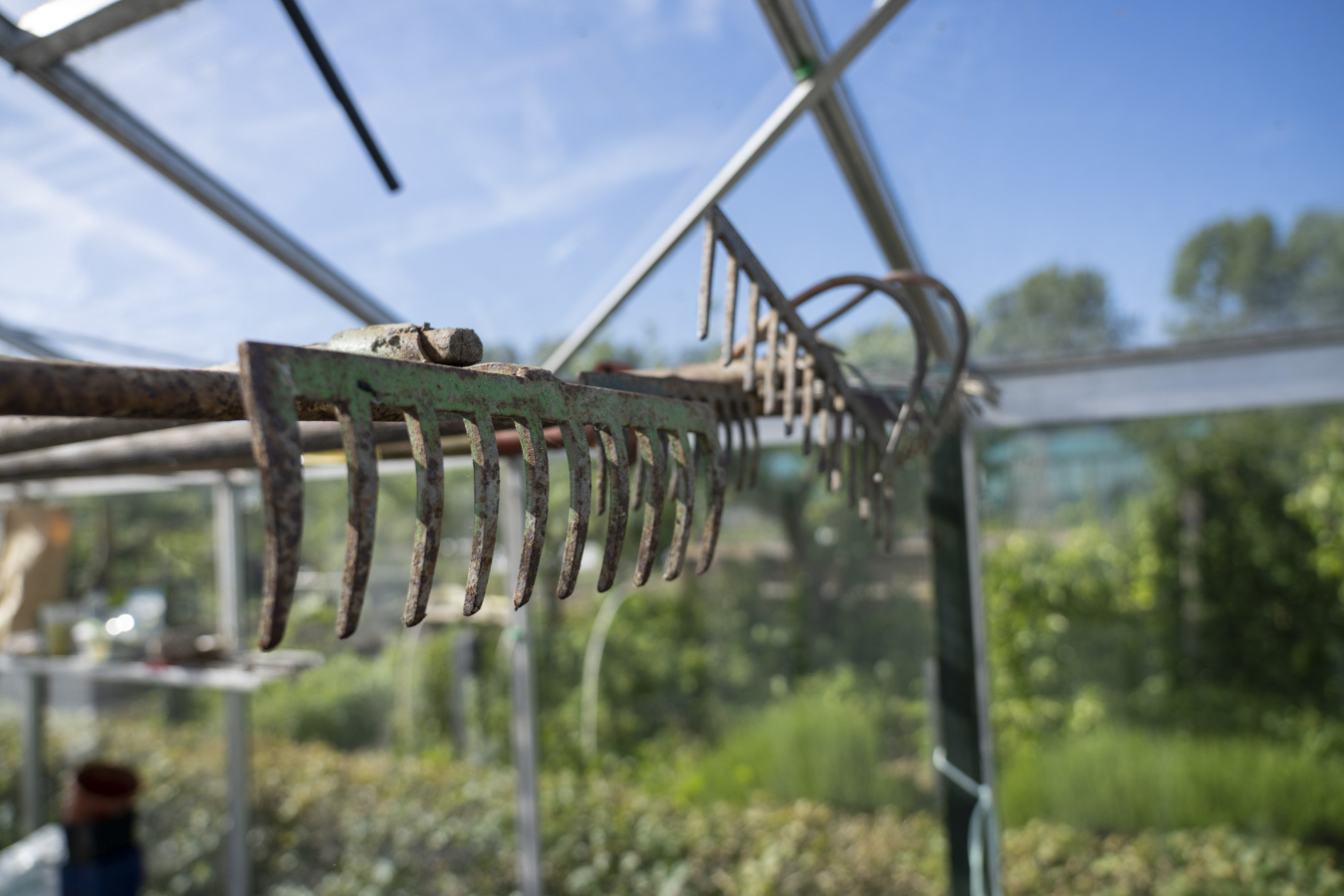 Lekker harken op de moestuin