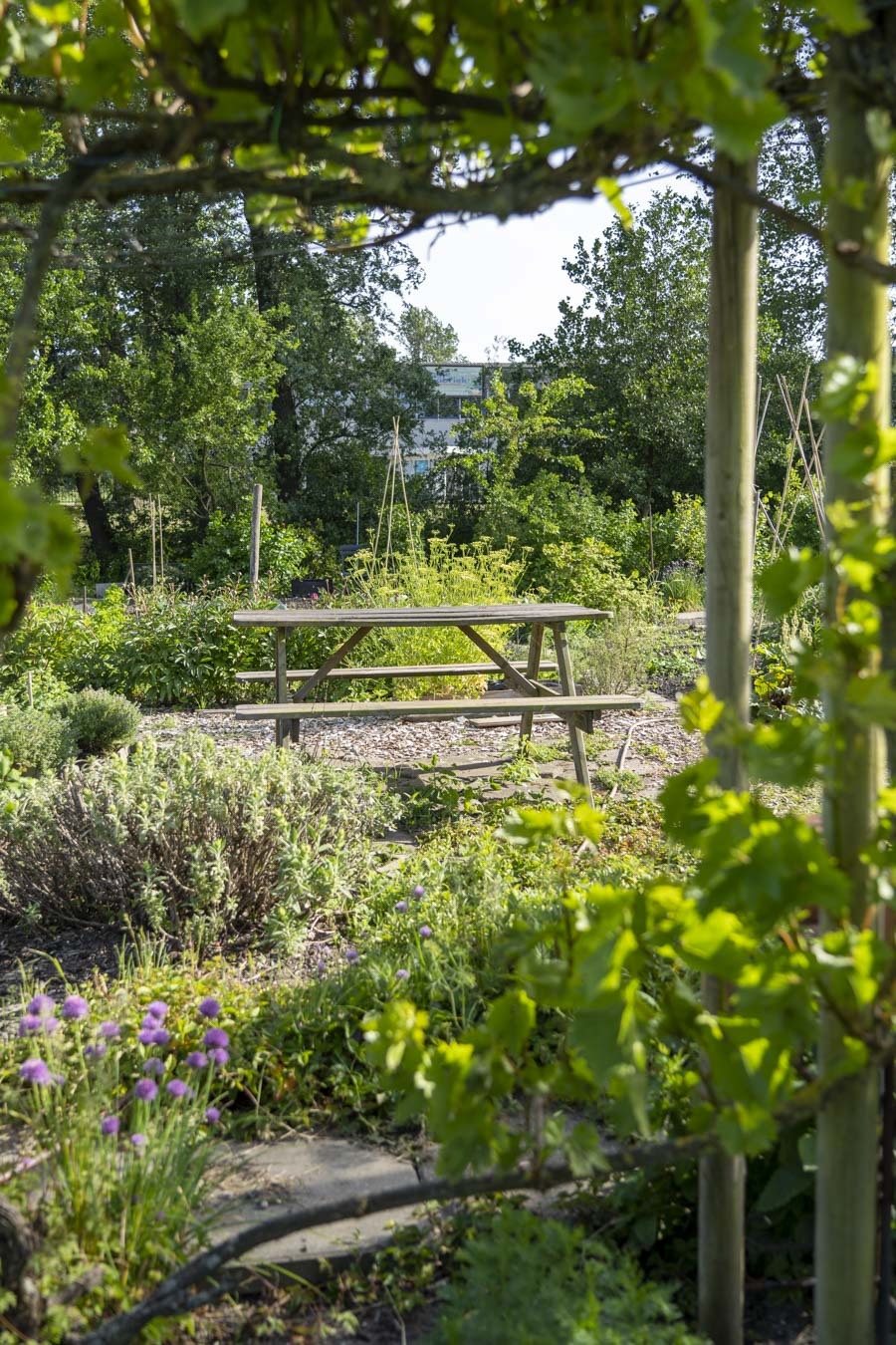 Picknicktafel in de moestuin