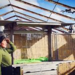 Als varkens konden vliegen