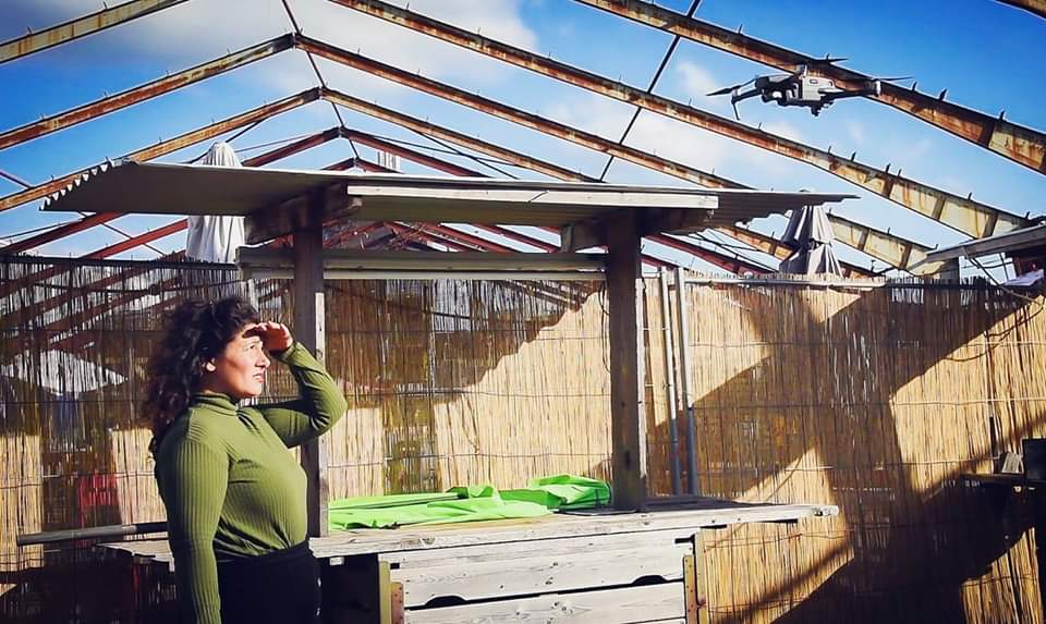 Als varkens konden vliegen