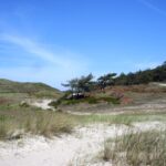 Duinen bij Bergen aan Zee
