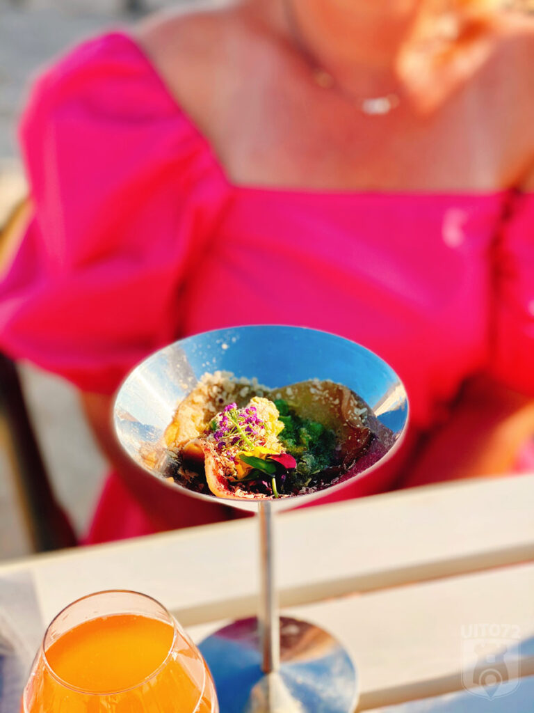 Ingelegde koolrabi met jonge bonen, gefermenteerde onrijpe pruim, sap van zuring en edelgist (Neder × Noorderlicht)