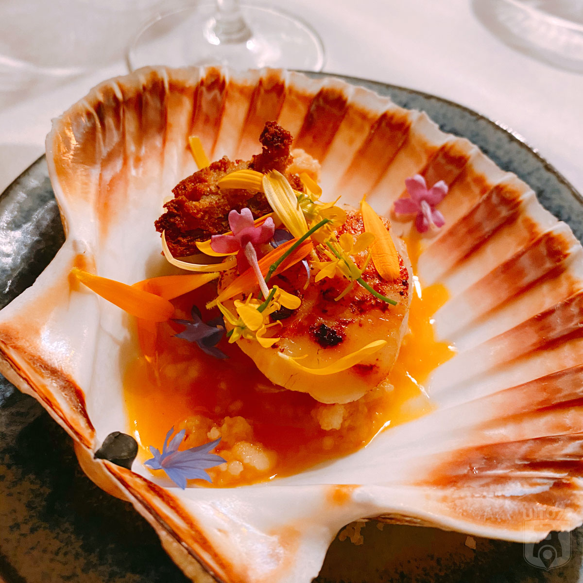 Coquille | duindoorn | amandel | roos | brooddeeg