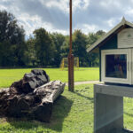 Mini bibliotheek in park De Kleine Kwekerij (Alkmaar)