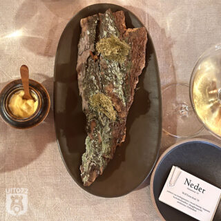 Gefrituurd rendiermos met paddenstoelenmayonaise