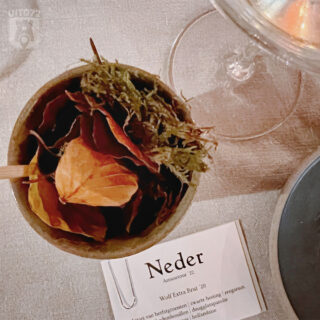 Bosbodembouillon met dougglassparolie