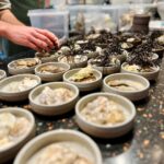 Gefrituurd blaasjeswier